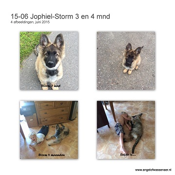 Jophiël-Storm, Jolly Angel met 3 en 4 maanden